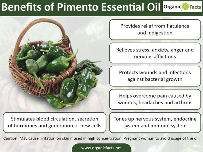 9 Incredible Benefits of Pimento Essential Oil Organic Facts