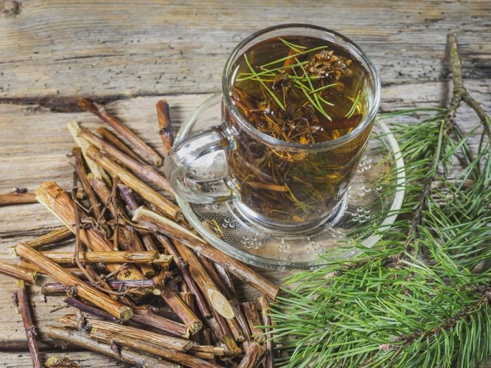 A cup of pine needle tea and pine needle on a table