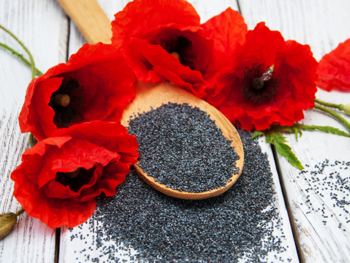 A spoonful of poppy seeds and red poppy flowers on a wooden background