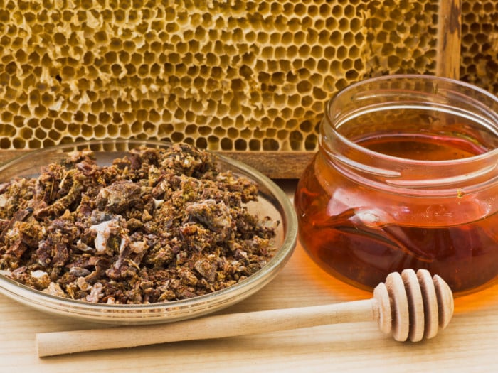 Propolis S Propolis S