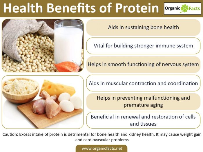 12 Surprising Benefits of Proteins | Organic Facts