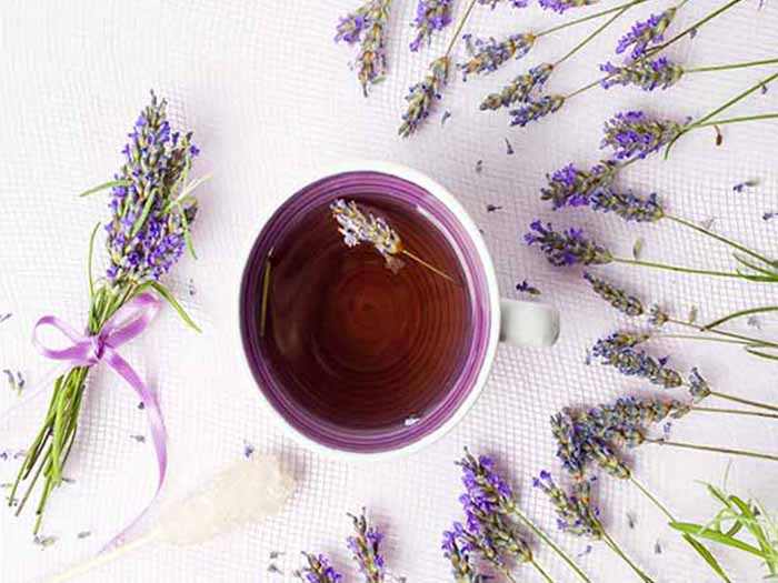purple tea in a cup on a white board with lavender flowers surrounding it