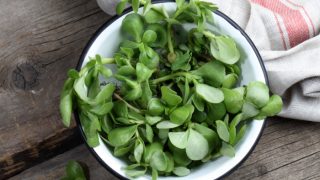 A bowl of fresh purslane on a wooden table, next to a dinner napkin
