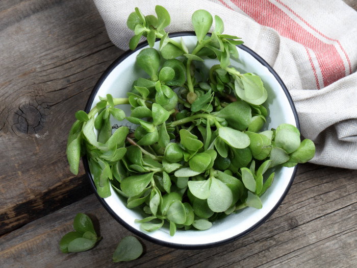 10 Amazing Benefits Of Purslane Organic Facts