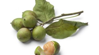 10 Incredible Benefits of Quenepas