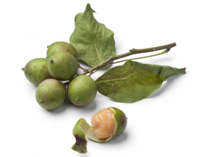 quenepa fruit is fruit for breakfast healthy quenepa fruit is fruit for breakfast healthy
