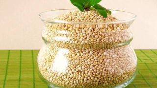Quinoa seeds in a glass pot with a plain background