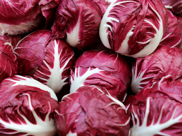 Extreme close up of radicchio leaves