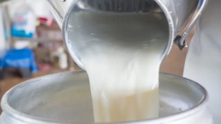 Nutrition Facts & Benefits of Raw Milk