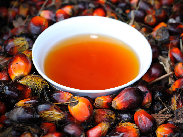 A white bowl of red palm oil kept amid date palm fruits