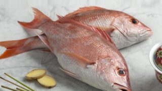 Two red snappers kept atop a marble platform