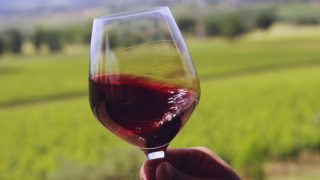Glass of red wine held in a hand in a green background