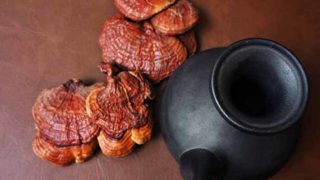 Reishi mushrooms next to a black teapot against a brown background