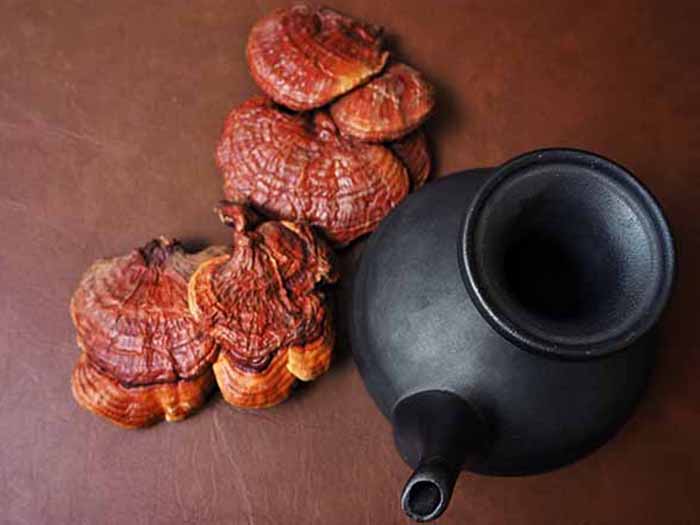 Reishi mushrooms next to a black teapot against a brown background