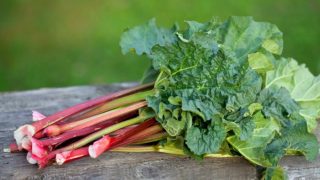 Fresh rhubarb on a wooden table