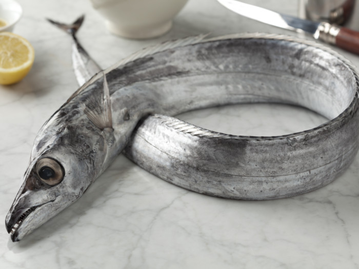 9 Amazing Health Benefits of Ribbon Fish | Organic Facts
