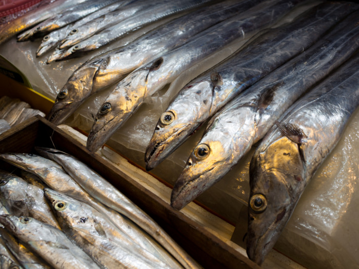 9 Amazing Health Benefits of Ribbon Fish Organic Facts