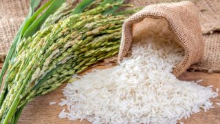 Fresh rice sprig and a small sack of white rice falling on a wooden table