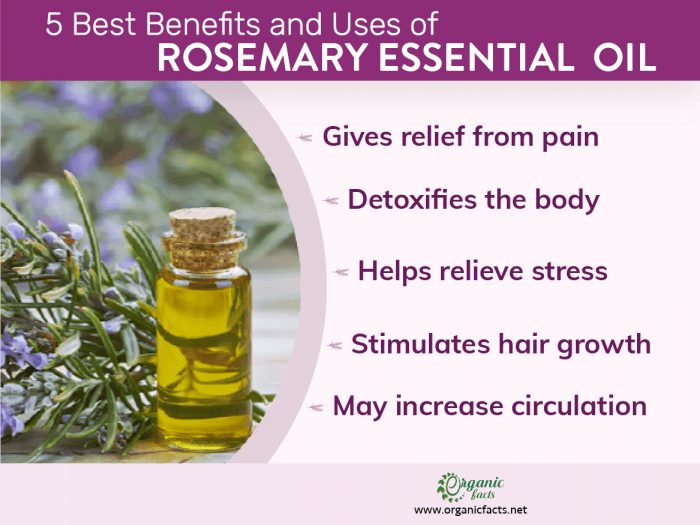 Health benefits of rosemary essential oil infographic