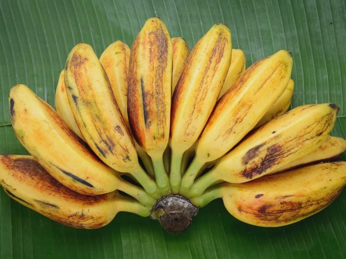 5 Proven Benefits of Saba Banana | Organic Facts