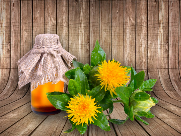 Safflower Plant Facts and Uses: Vegetable Oil, Dye, and Insulin