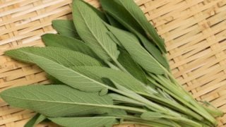 A bunch of fresh sage leaves on a mat
