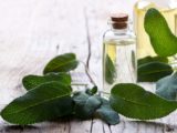a study of oil and its main sources Learn about the potential benefits of olive oil including et al virgin olive oil study (volos): vasoprotective potential of extra virgin et al a randomised study on the clinical progress of high-risk elective major gastrointestinal surgery patients treated with olive oil. a study of oil and its main sources Learn about the potential benefits of olive oil including et al virgin olive oil study (volos): vasoprotective potential of extra virgin et al a randomised study on the clinical progress of high-risk elective major gastrointestinal surgery patients treated with olive oil.