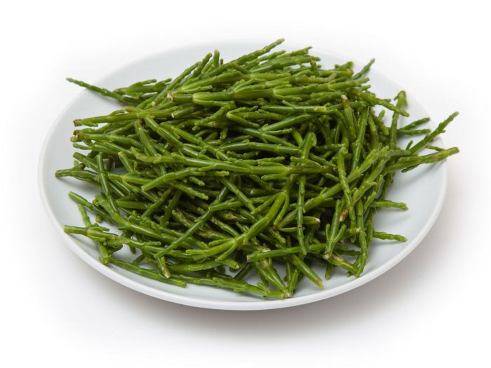 A white plate filled with fresh samphire on a white background