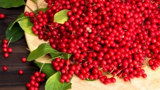 A plate of Schisandra berries