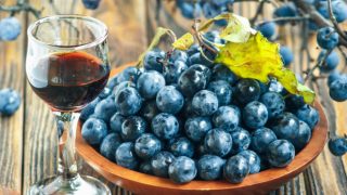 A glass of sloe gin, next to a ceramic dish with sloes and a branch with sloes