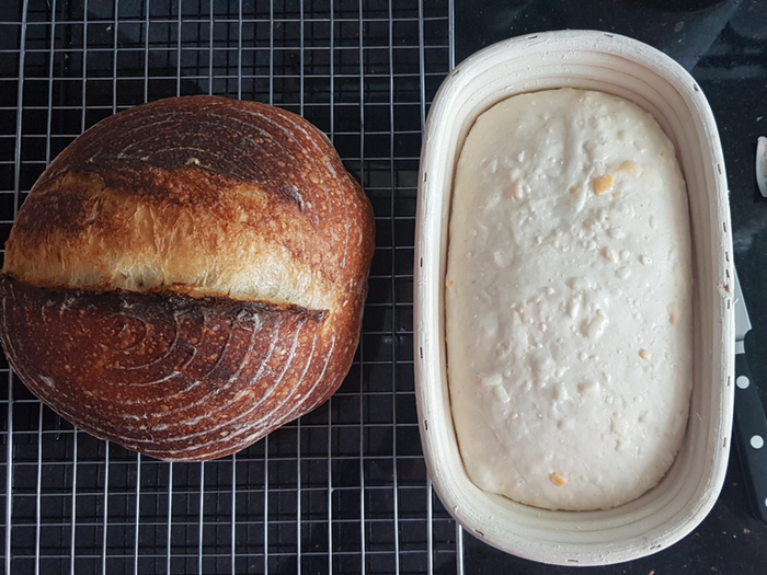 Sourdough bread on a wire rack with a proofing bowl containing the dough