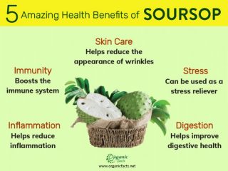 soursop benefits () soursop benefits
