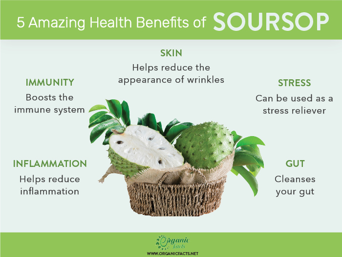 Health benefits of soursop infographic