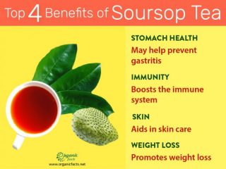 soursop benefits () soursop benefits