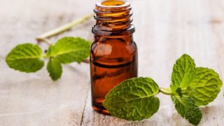 A small bottle of spearmint oil with leaves on a wooden table