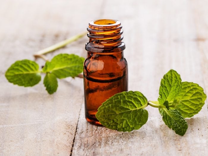 Benefits of spearmint essential oil