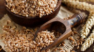 A wooden bowl and scoop filled with uncooked whole spelt with spelt ears placed on a wooden table