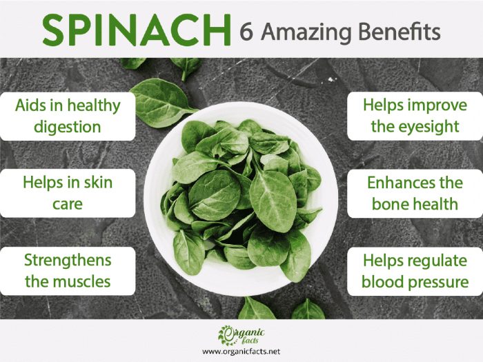 Spinach Top 15 Benefits, Nutrition, & Recipes Organic Facts