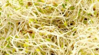 11 Best Benefits of Sprouts