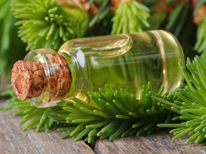 A bottle of essential oil with spruce leaves in the background, on a wooden counter
