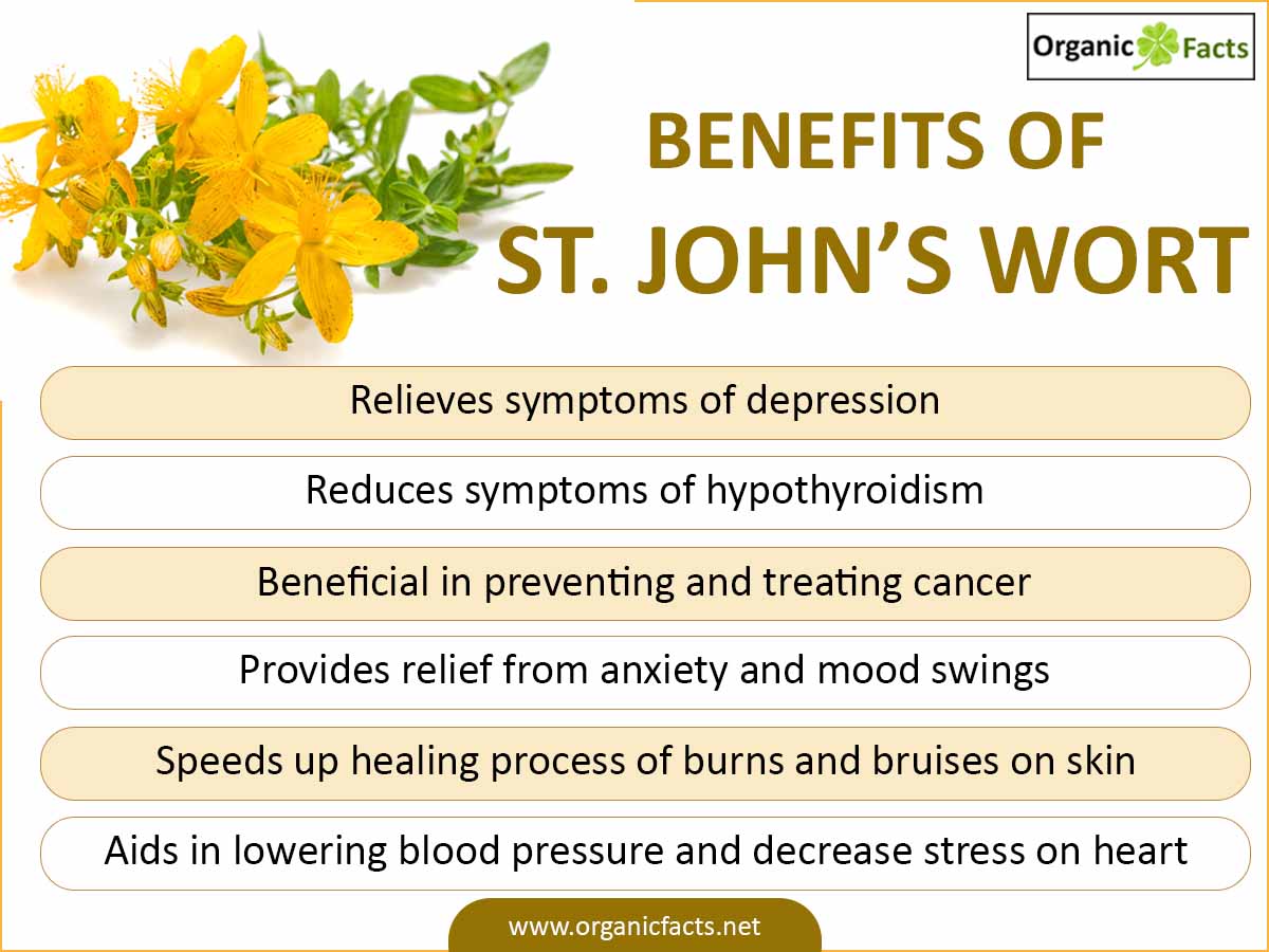 10 Amazing Benefits of St. John's Wort Organic Facts