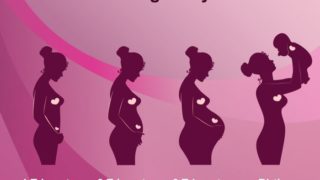 Stages of pregnancy - infographic