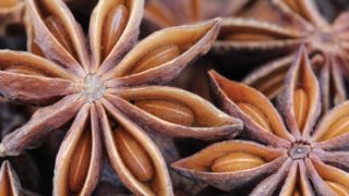 Close up of star anise
