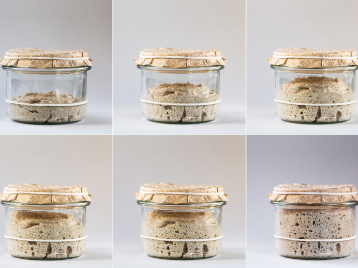 Pics showing different stages of sourdough starter