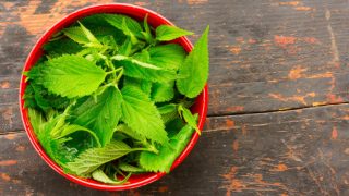 A red-colored bowl full of stinging nettle leaves kept on a wooden table