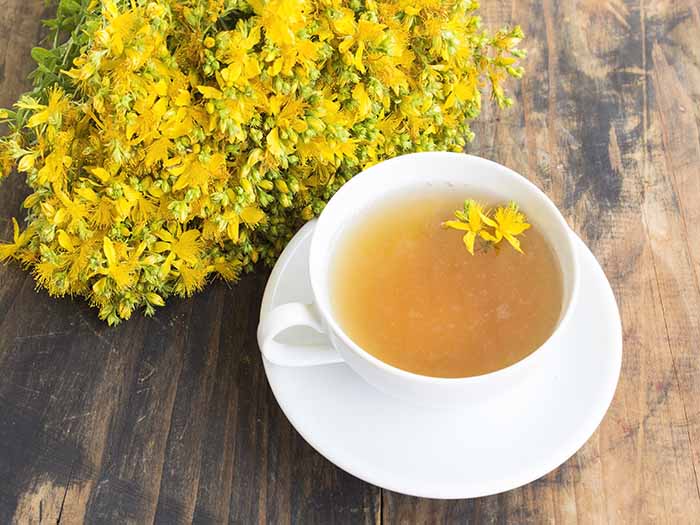 Dried yellow St. John’s wort flowers and St. John’s wort tea in a white teacup