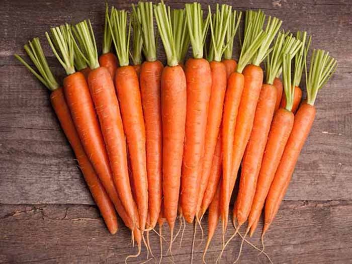 Bunch of organic carrots are a nutrient dense vegetable