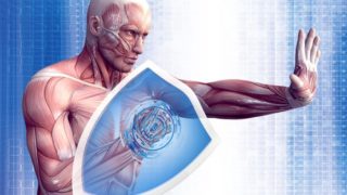 A 3D image of a man holding a shield which acts like an armour to avoid harmful diseases