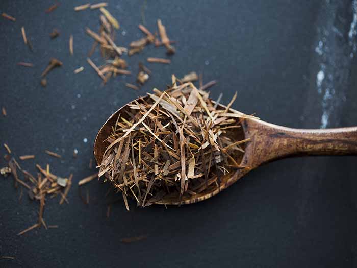 A spoonful of taheebo tea leaves