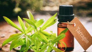 Tarragon essential oil bottle with a tag, next to fresh tarragon leaves